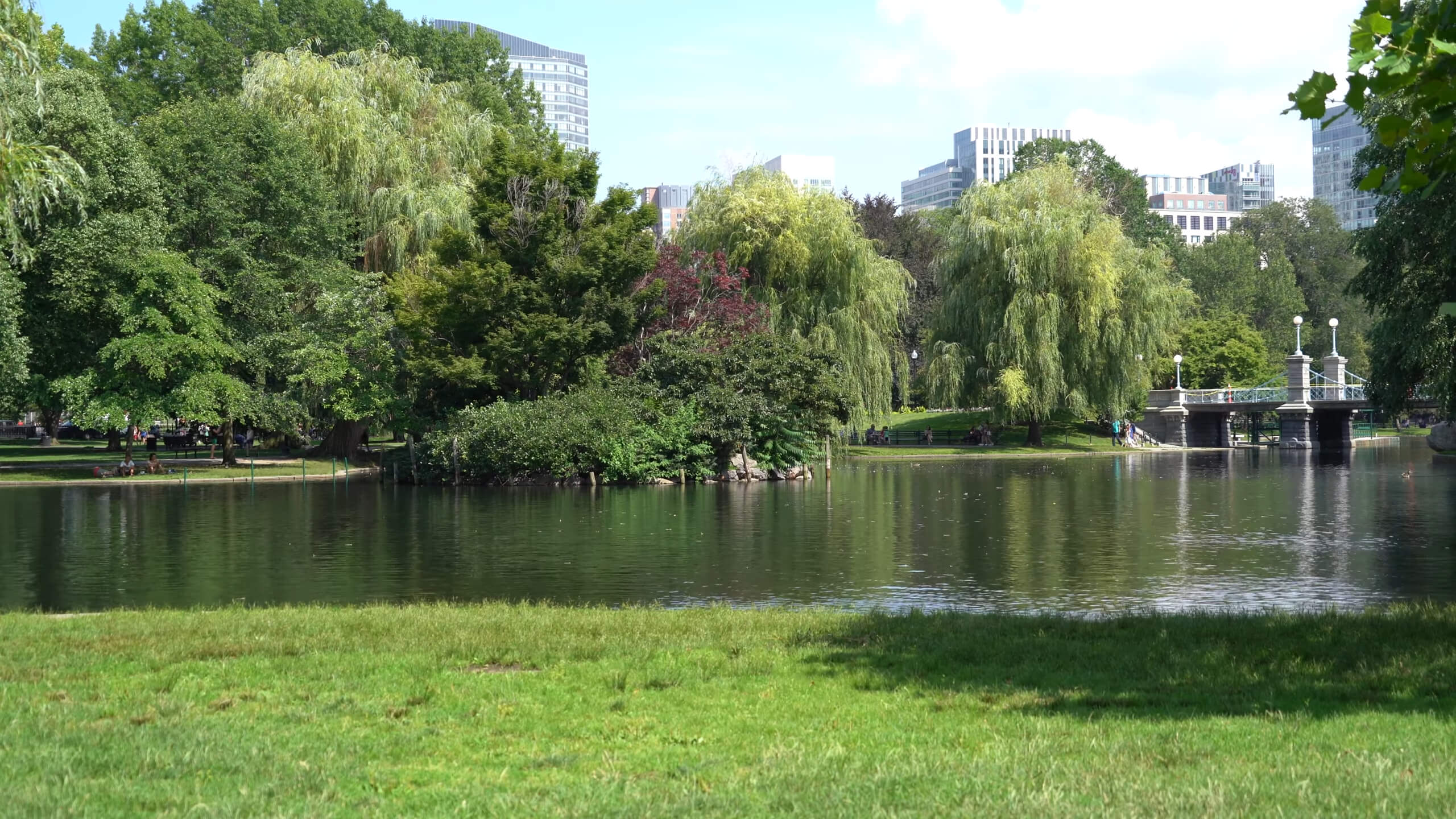 A walk through Boston Public Garden