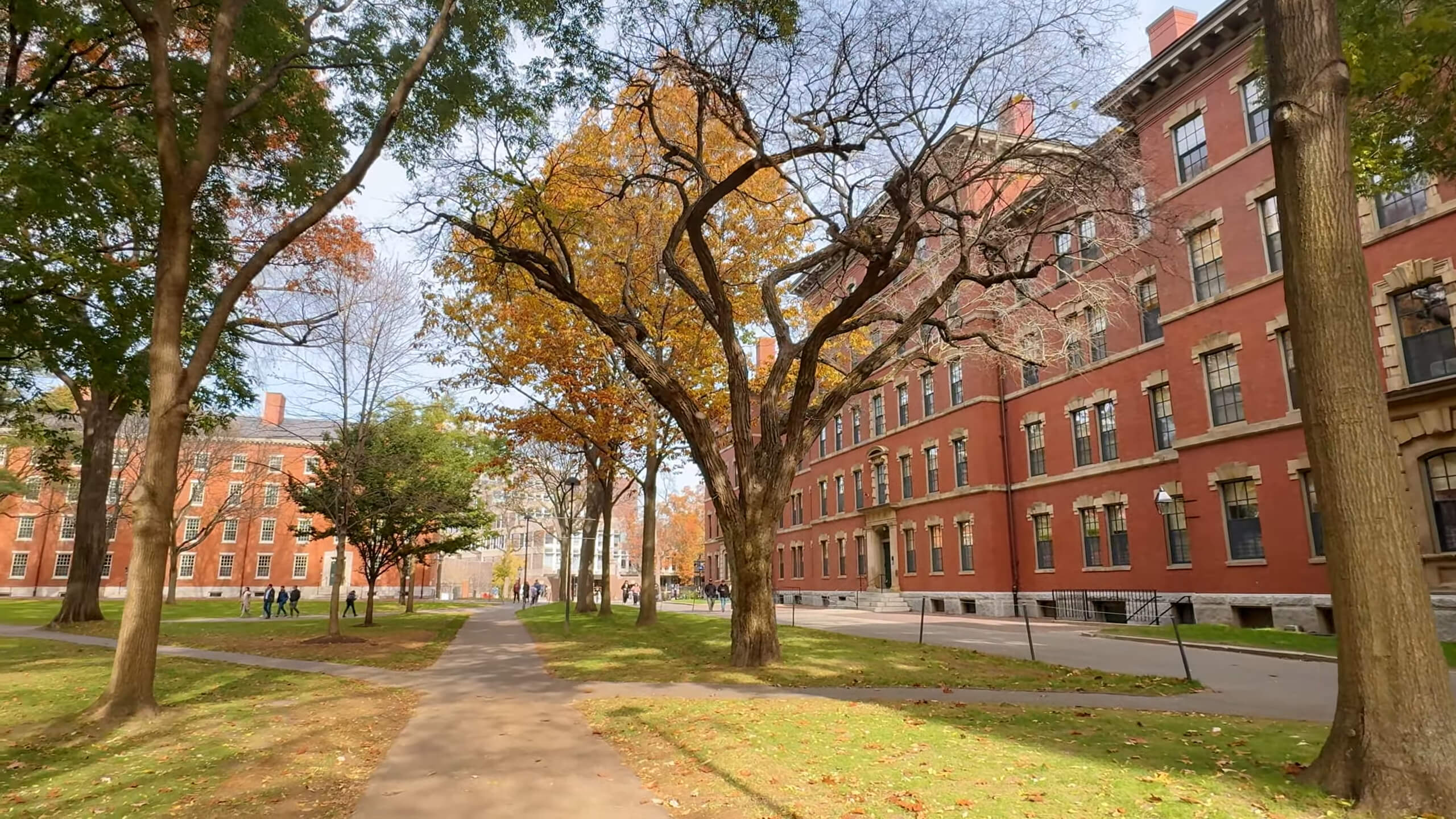 Harvard University Campus Walking Tour