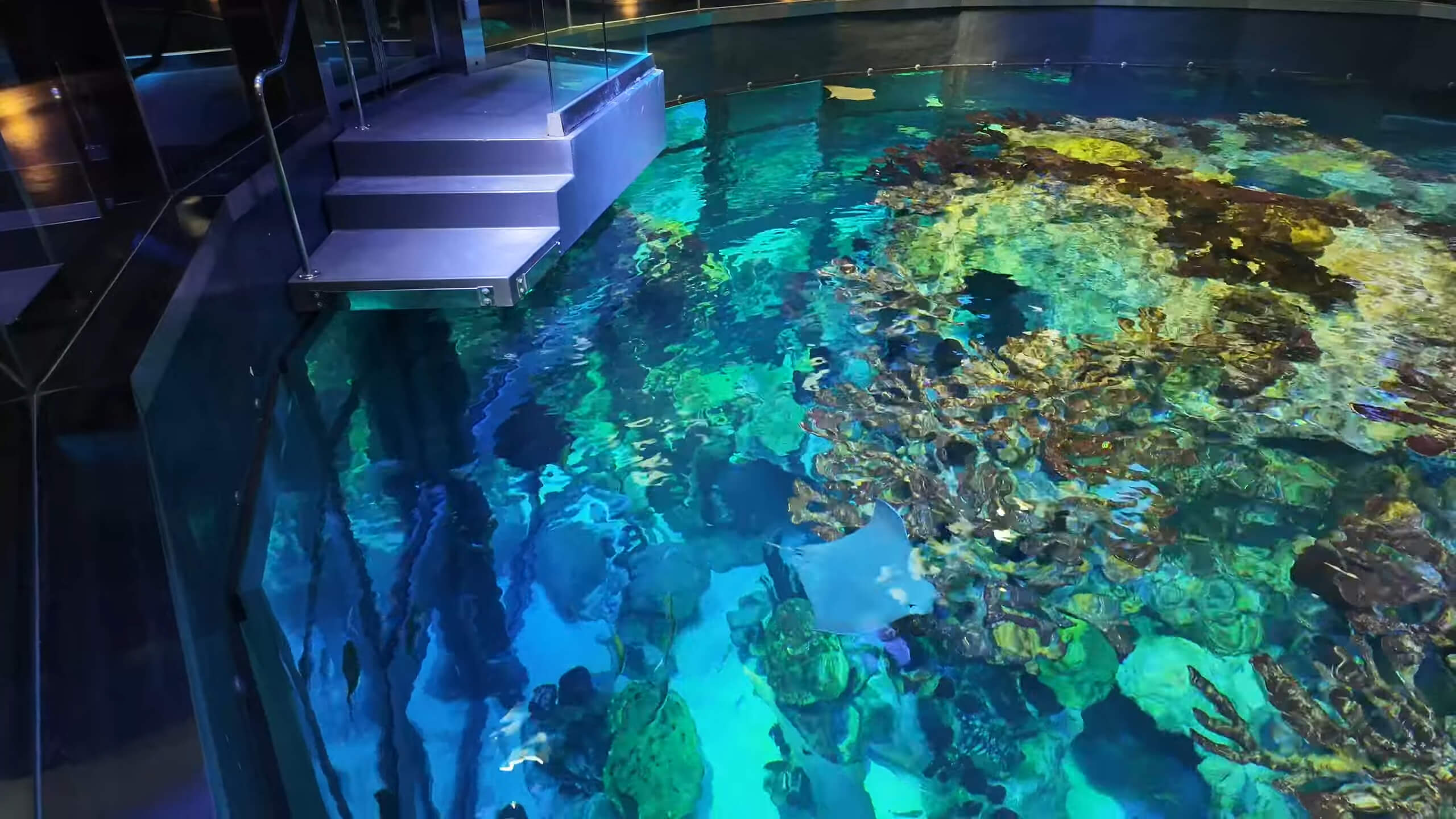 One of the pools at the New England Aquarium