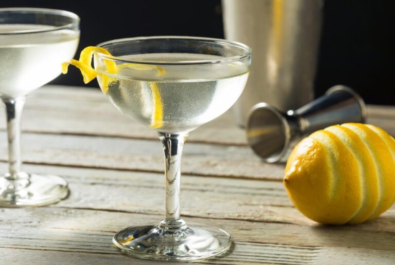 Classic Gin Martini Recipe