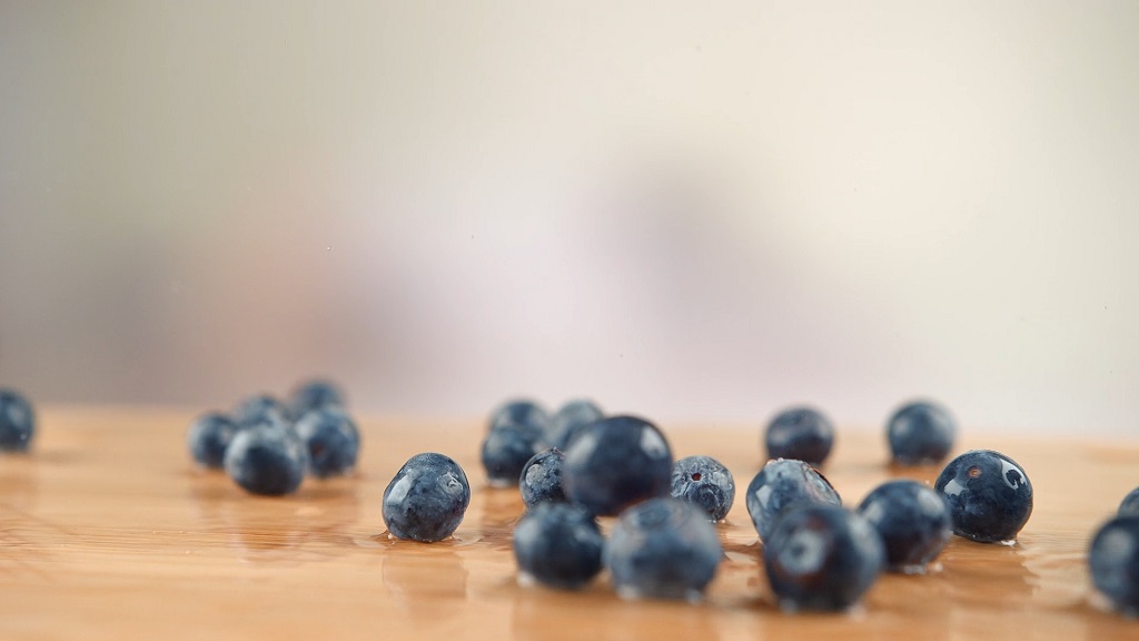 Close-up of fresh juniper berries used for gin making