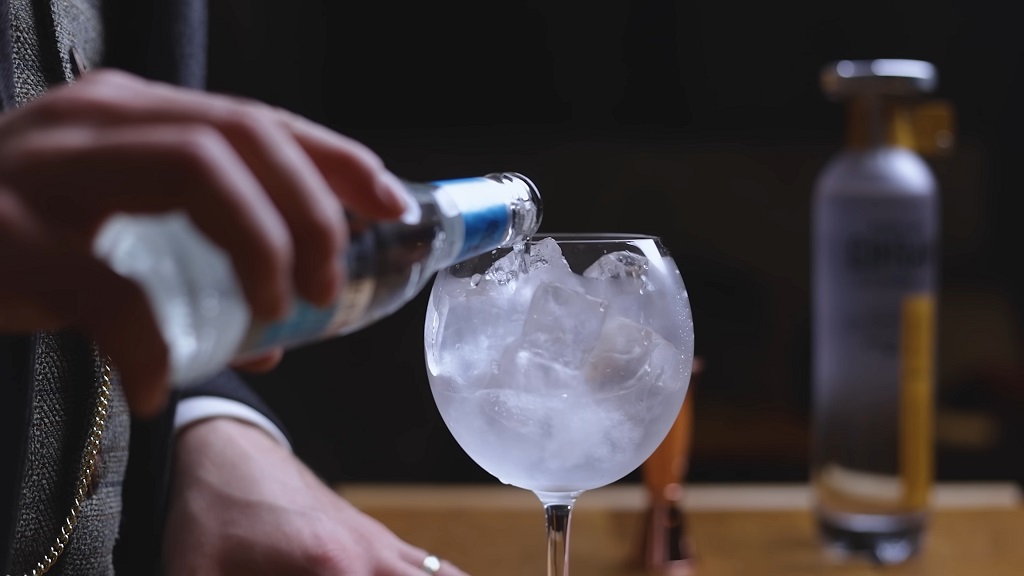 Gin and Tonic cocktail