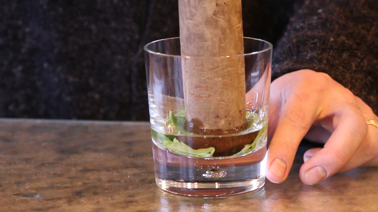 A wooden muddler pressing mint leaves in a clear glass, held by a person's hand on a countertop