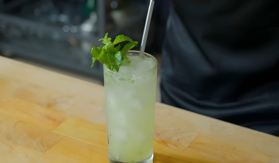 A glass of a drink with a straw and a green leaf